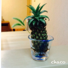 子どもが持ってくるねこじゃらし(雑草)を可愛くインテリアに