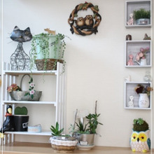 プチプラだけどお気に入り!玄関インテリア