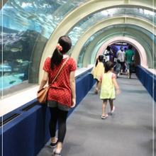 夏休みのご褒美に☆浅虫水族館
