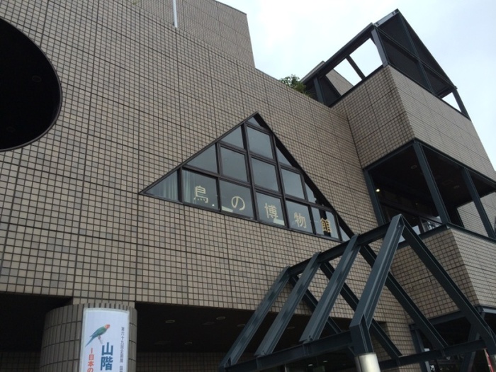 鳥の博物館