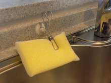 食器洗いのスポンジは清潔に!