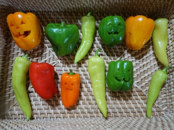 いろいろ試してみてくださ~い♪