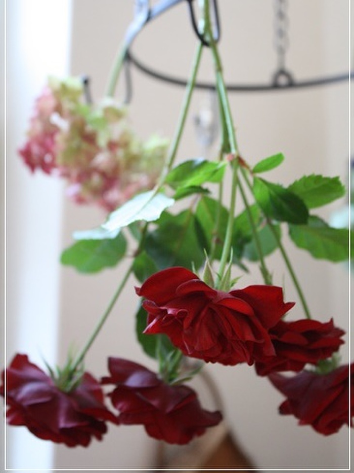 吊るして楽しむ