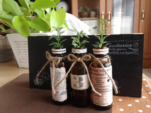 栄養ドリンクのビンをナチュラルにリメイク♪