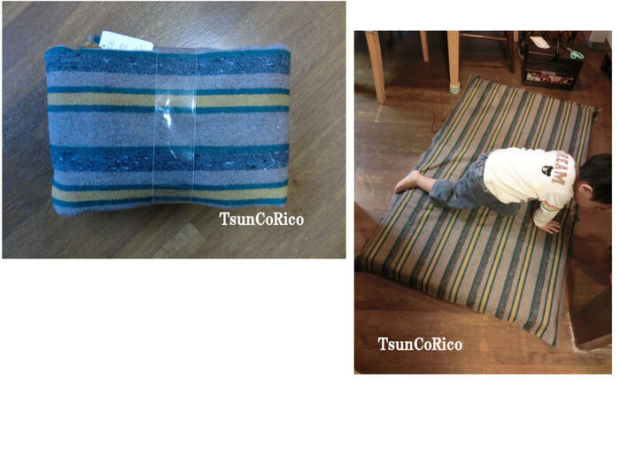 ラグマットの大きさに カット。