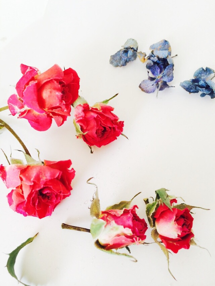 まるで生花の様。色鮮やかなドライフラワーを作る方法
