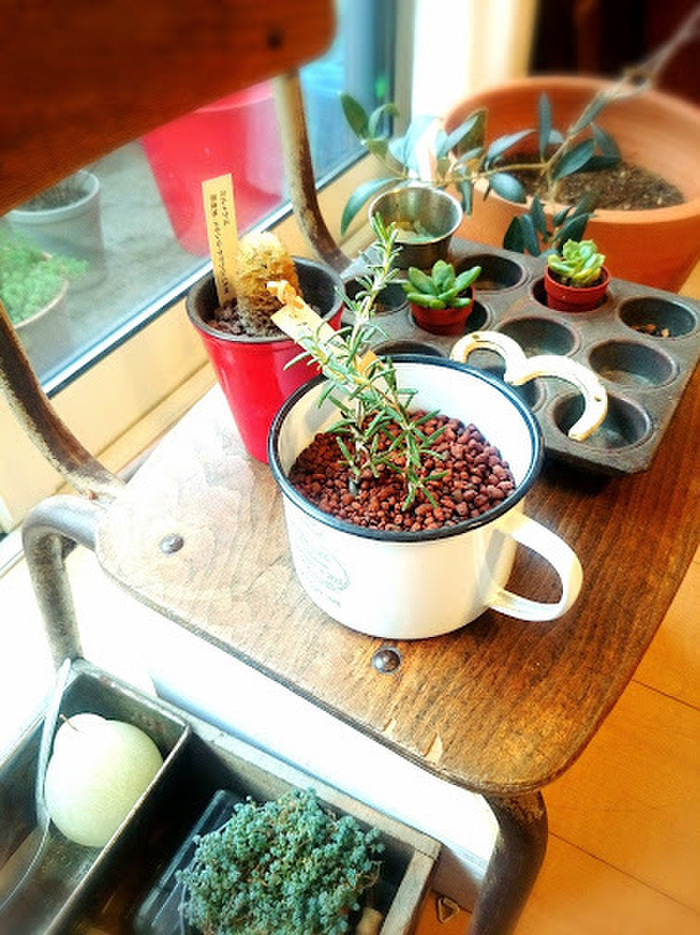 テーブルから見える景色も