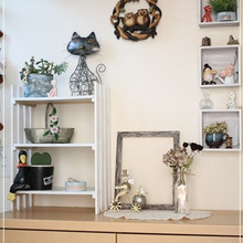 玄関も植物も・・・家中まとめて冬仕度。