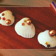 シェルアート♡