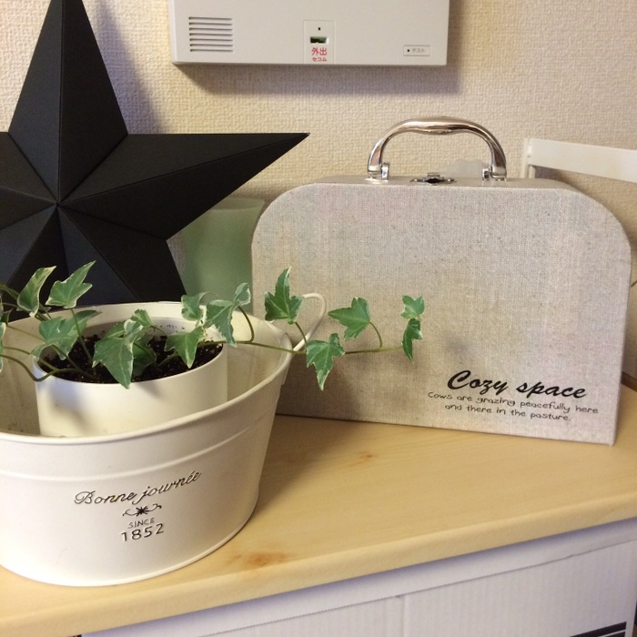 トランク型BOXをリメイク
