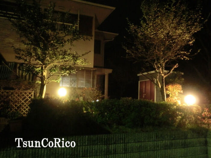 外構の 照明器具も!