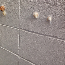 簡単DIY!!ペイントでガラリと変身!