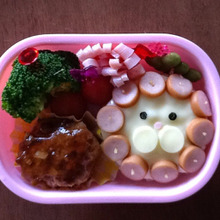 簡単キャラ弁☆ポンデライオン