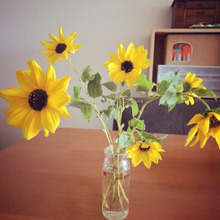 使わなくなった哺乳瓶、次なるお仕事は?♪