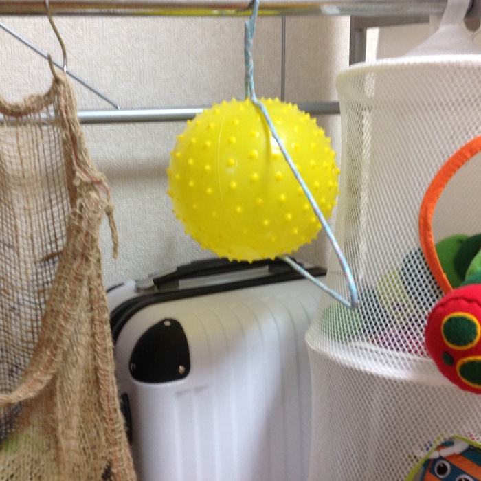 大体の大きさに対応します