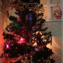 ステップアップ!リッチに見えるクリスマスツリーの飾り方