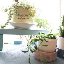 端材でDIY☆観葉植物に使えるアイテム