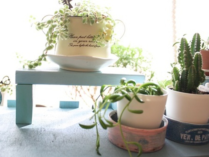 端材でDIY☆観葉植物に使えるアイテム