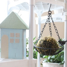 手作り苔玉で癒し空間