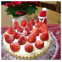 フードプロセッサーで混ぜて焼くだけ 簡単クリスマスタルト