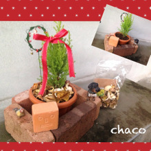 玄関先と玄関のちょこっとクリスマス