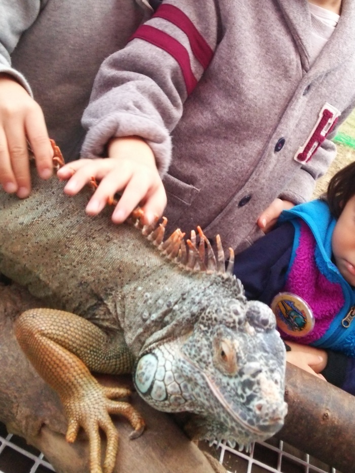 前と変わった?!大人も子供も楽しめる15年目のズーラシア☆