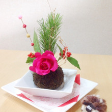 1つあってもいいかも!乾燥苔玉(300円くらい)って知ってる?苔玉でお正月飾り