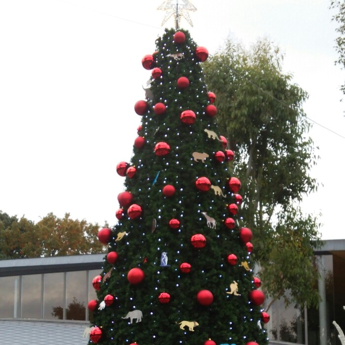 イルミネーションやライトアップも♪