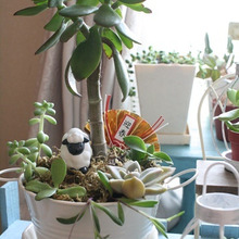 プチプラデコで植物もお正月気分♪