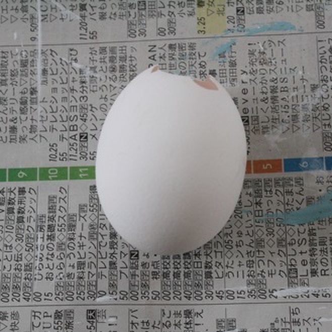 卵の中身を取り出す