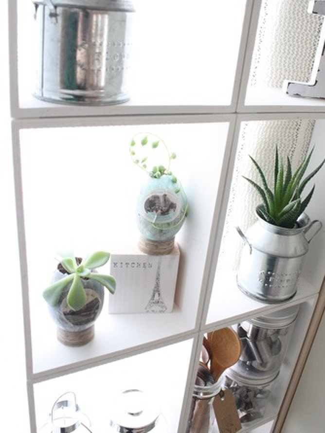 グリーンが似合います