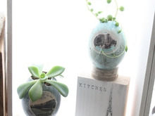 手作りステキ雑貨!エッグプランターの作り方