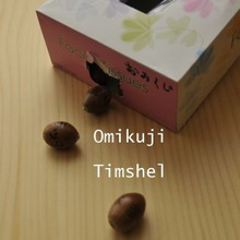 どんぐりおみくじ