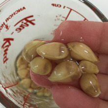 簡単☆柚子の種で化粧水作り