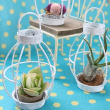 100均&再利用!ミニグリーン雑貨