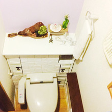 暗い 狭い 収納ない トイレをDIY ビフォーアフター