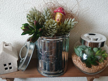 フェイク多肉植物でテラリウム