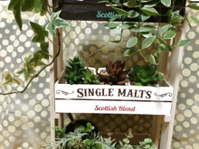 100均アイテムでリメイク‼︎お洒落な飾り棚