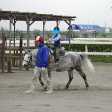 ポニーランドでポニーや馬車に乗り放題☆