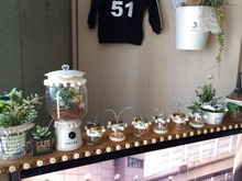 テレビの上にも雑貨を飾ろう✳︎インテリア棚