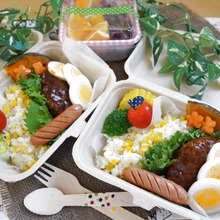 デリ風容器で♪お揃いロコモコ弁当