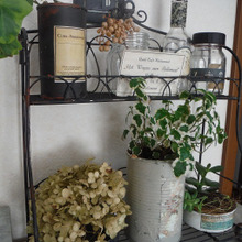 リメイク缶だらけのグリーンコーナーでお部屋に癒しを♪