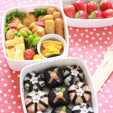 春爛漫*花咲く行楽弁当
