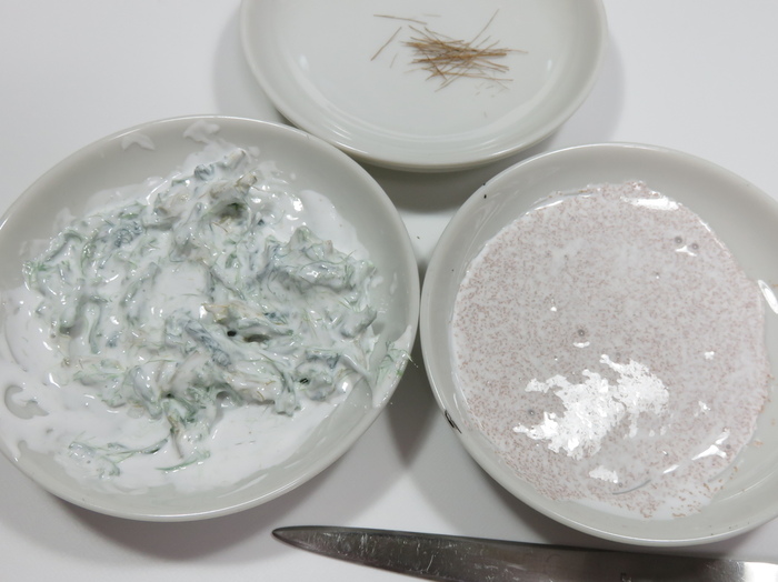 乾燥を防ぐためにサランラップして保護