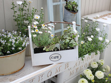 100均で作るガーデンプランター