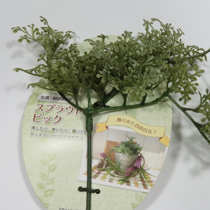 100均Seria スプラウトピック