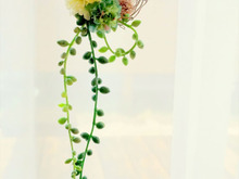 ツナ缶を型にして♪100均素材でワイヤーバスケットアレンジ