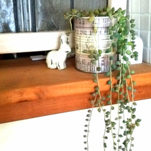 簡単すぎ空き缶リメイク♪