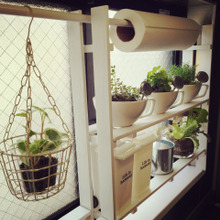 100均でDIY!キッチンガーデンとキッチンペーパーホルダー