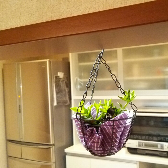 グリーンで目隠し☆隠す収納キッチン